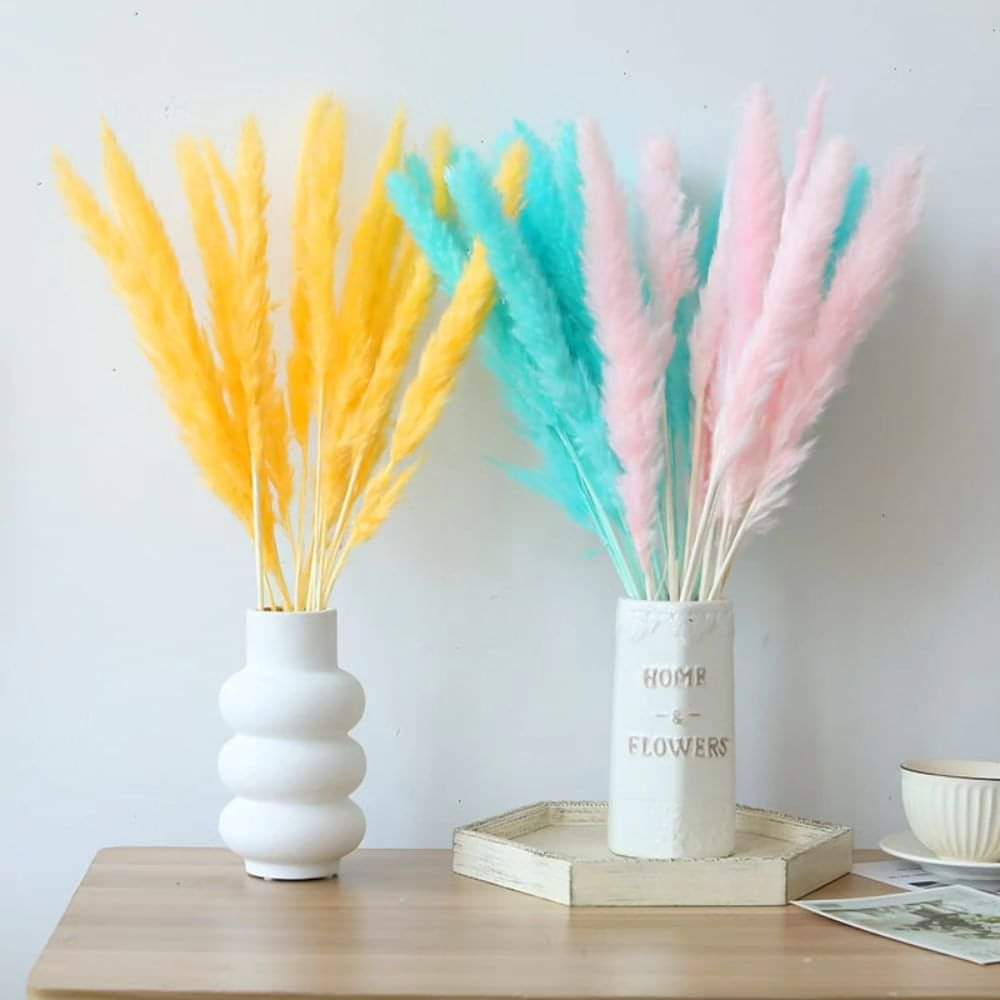 Pampas Grass