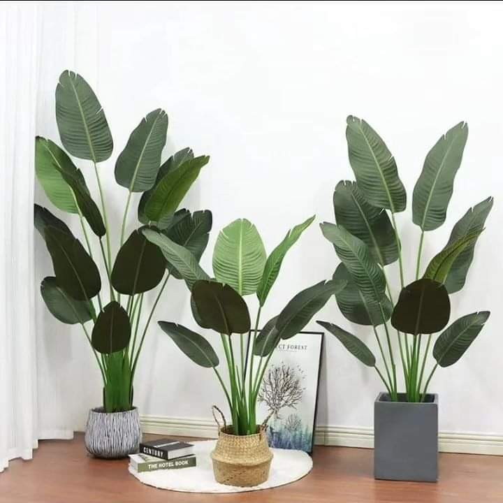150cm tall Artificial Banana plant