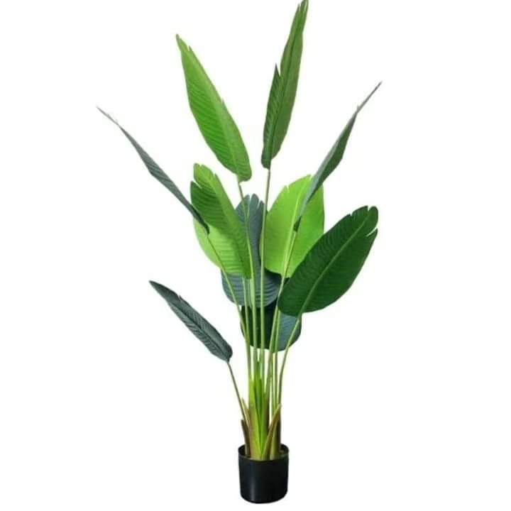 150cm tall Artificial Banana plant
