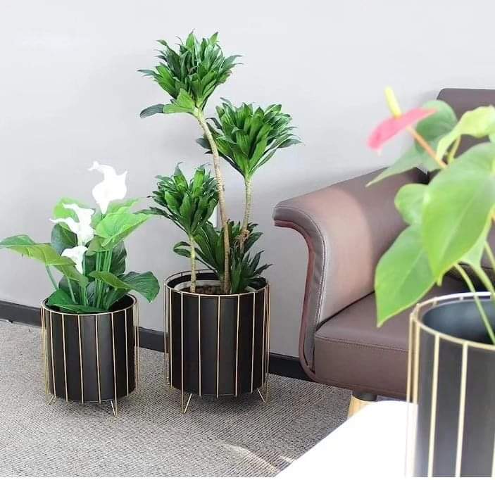 3pc Minimalist Planters