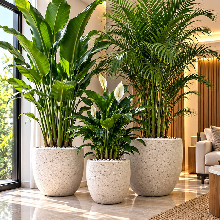 Small, medium and large concrete plant pot planter, 24.5 × 24.5 × 23 cm, 35 × 35 × 31.5 cm, 48 × 48 × 41.5 cm available in Nairobi, Kenya