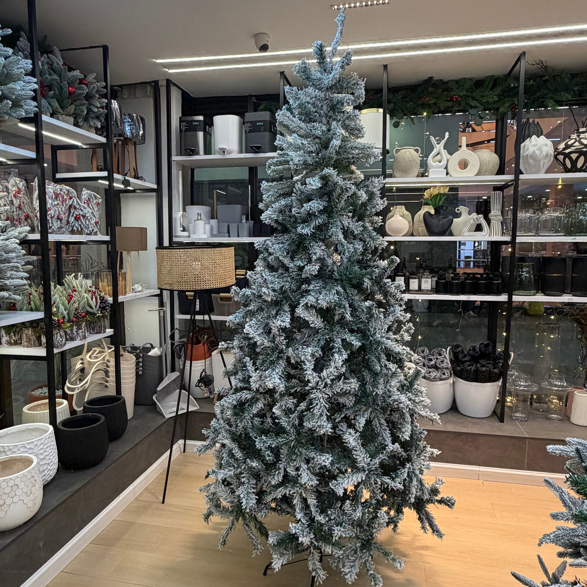 Christmas Trees | Pre-Lit, Green & Snow-Flocked Christmas Trees