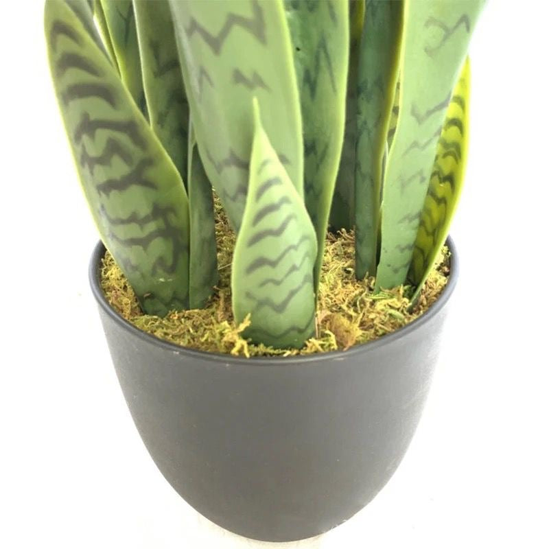 Real Touch Yellow Sansevieria Snake Plant 90cm – Artificial Plant
