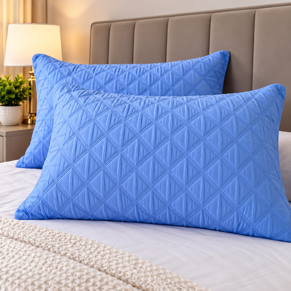50 × 75cm Pillow Protectors
