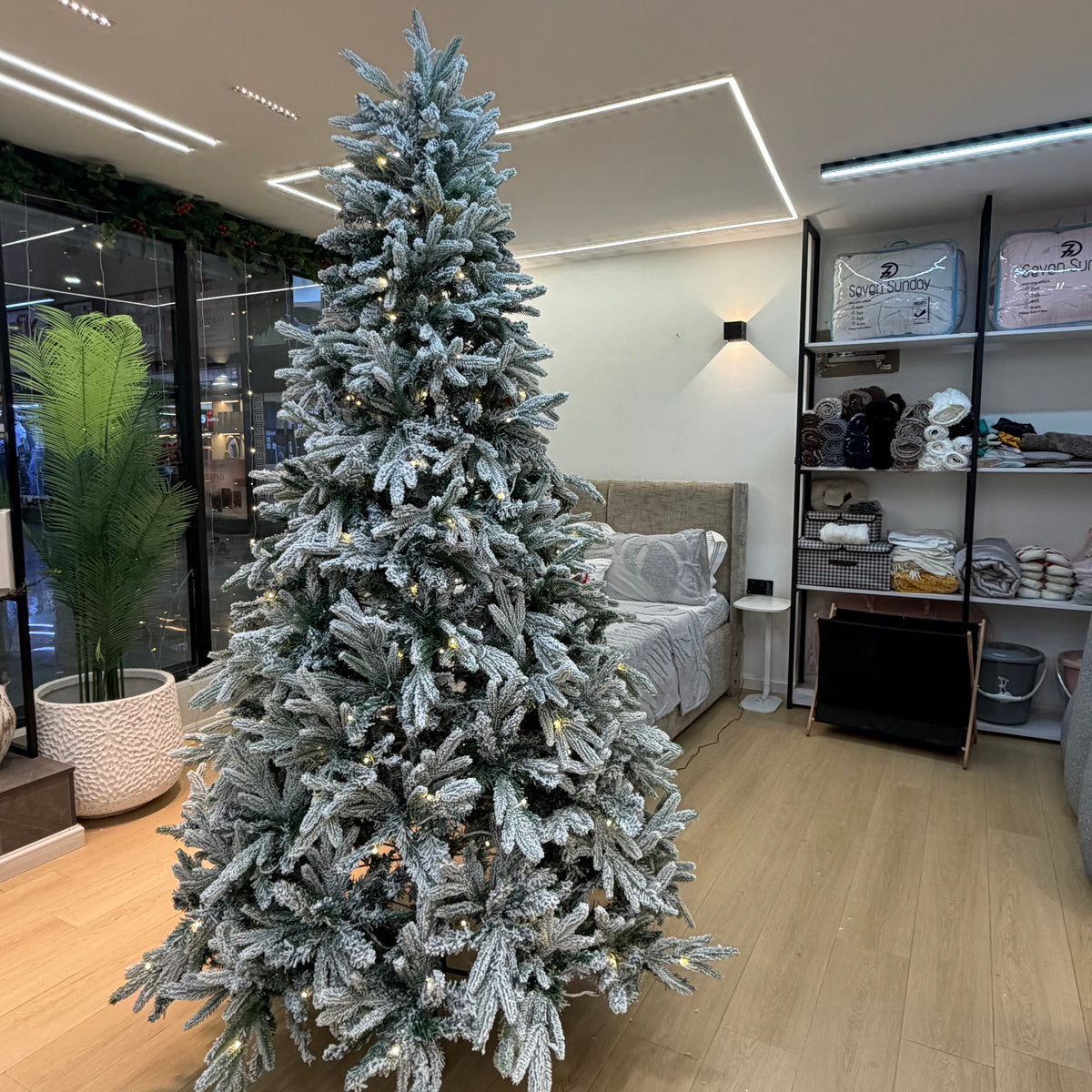 Christmas Trees | Pre-Lit, Green & Snow-Flocked Christmas Trees