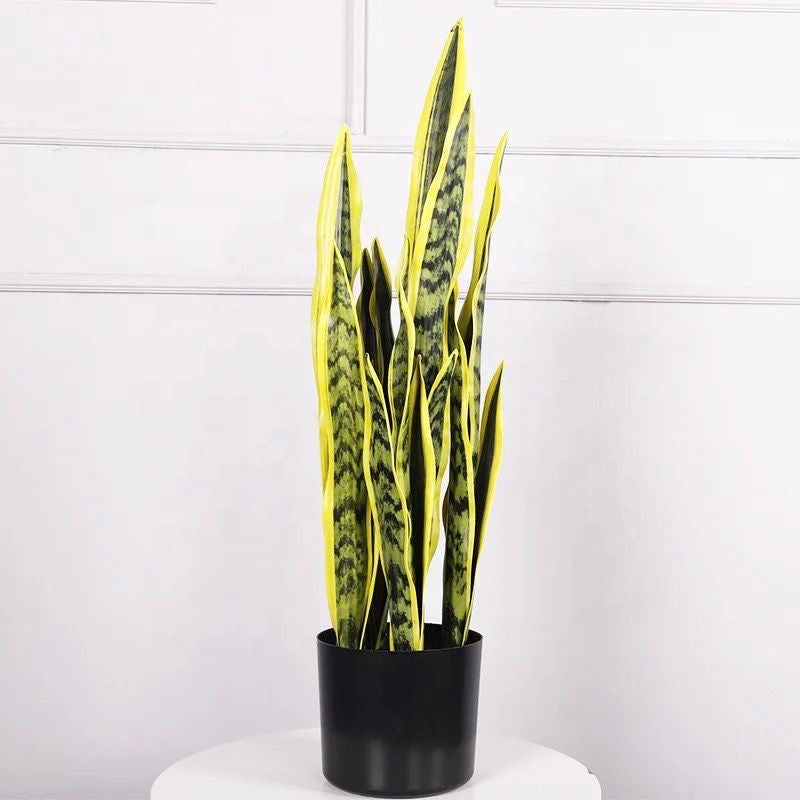 Real Touch Yellow Sansevieria Snake Plant 90cm – Artificial Plant