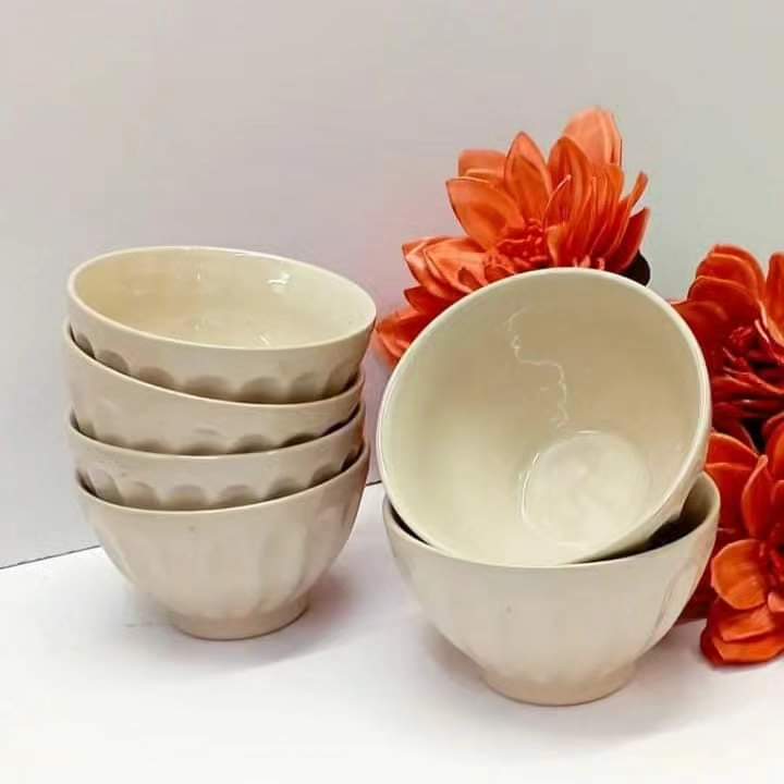 Ceramic Dinner Bowls