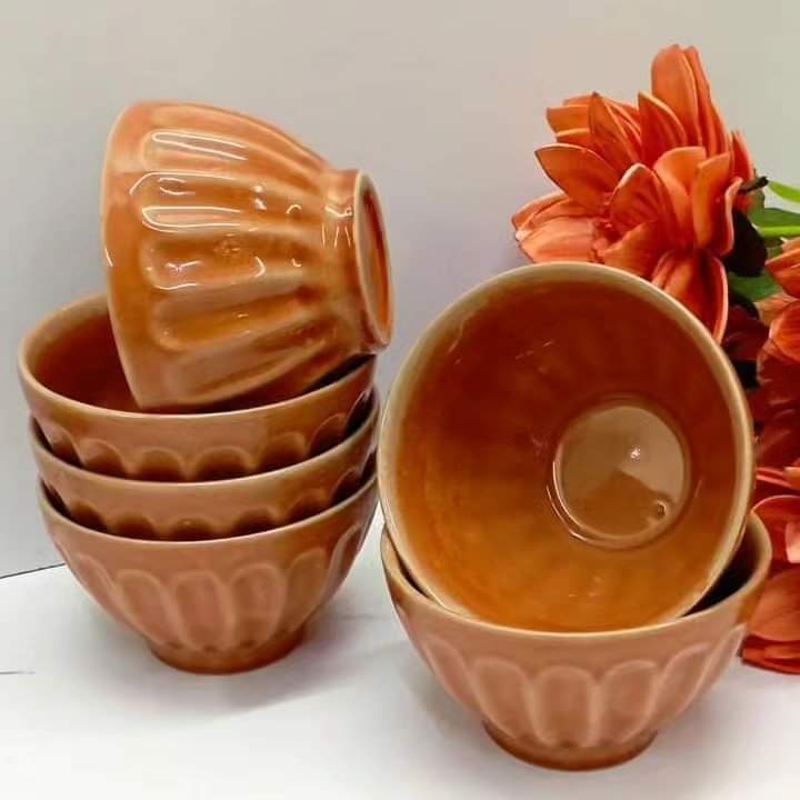 Ceramic Dinner Bowls