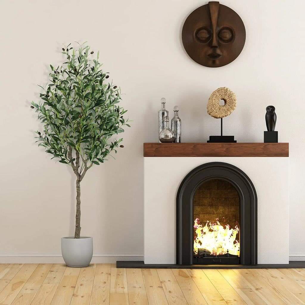 Decor Olive Plants
