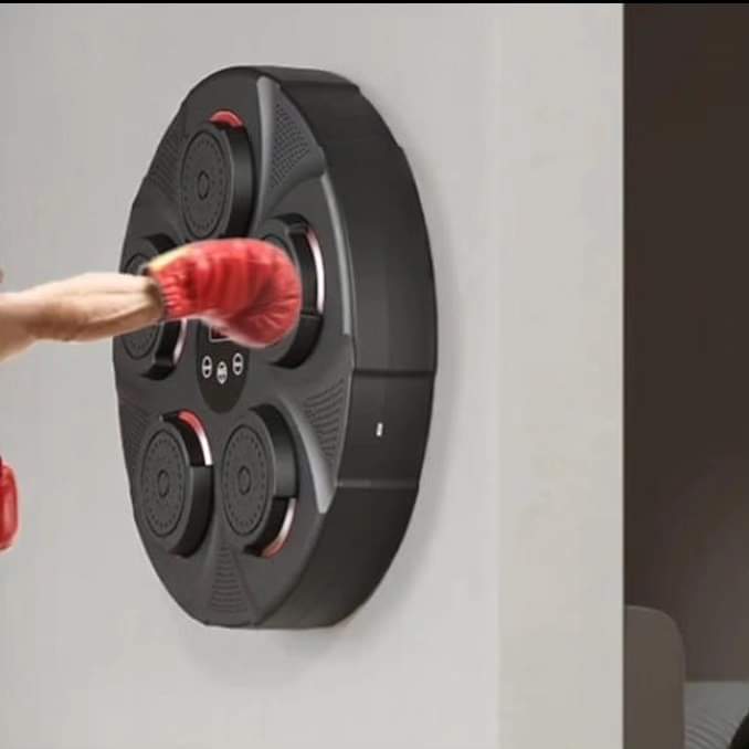 Wall Mounted Punch Boxing Trainer