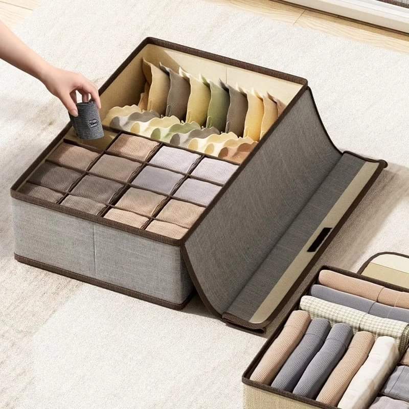 Garment organizer with cover