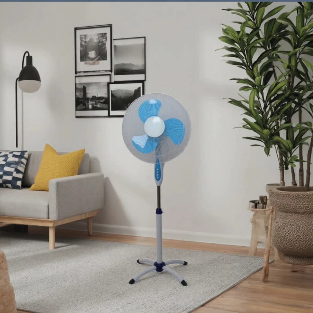 Standing Fan