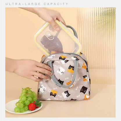 Insulated portable lunch bag