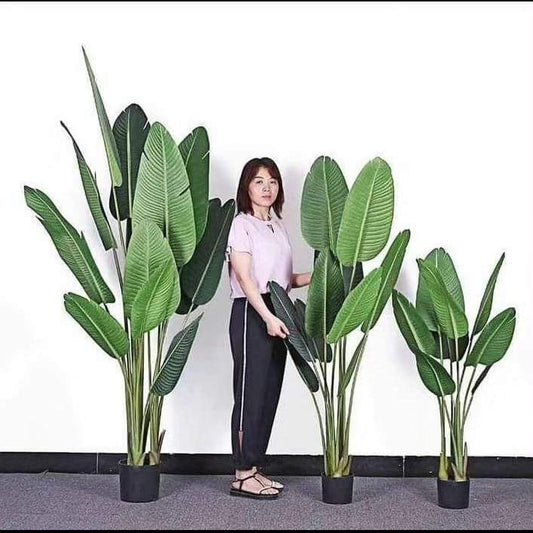 150cm tall Artificial Banana plant