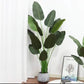 150cm tall Artificial Banana plant