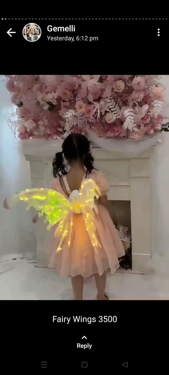 Christmas /Birthday Kids Fairy Wings