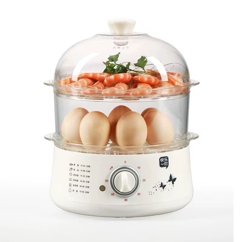 Electric Food steamer