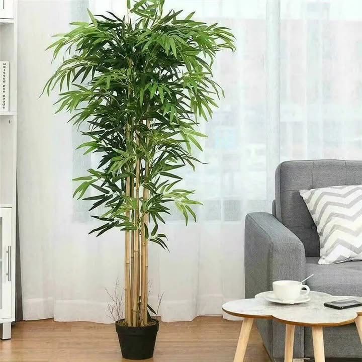 Real touch bamboo tree