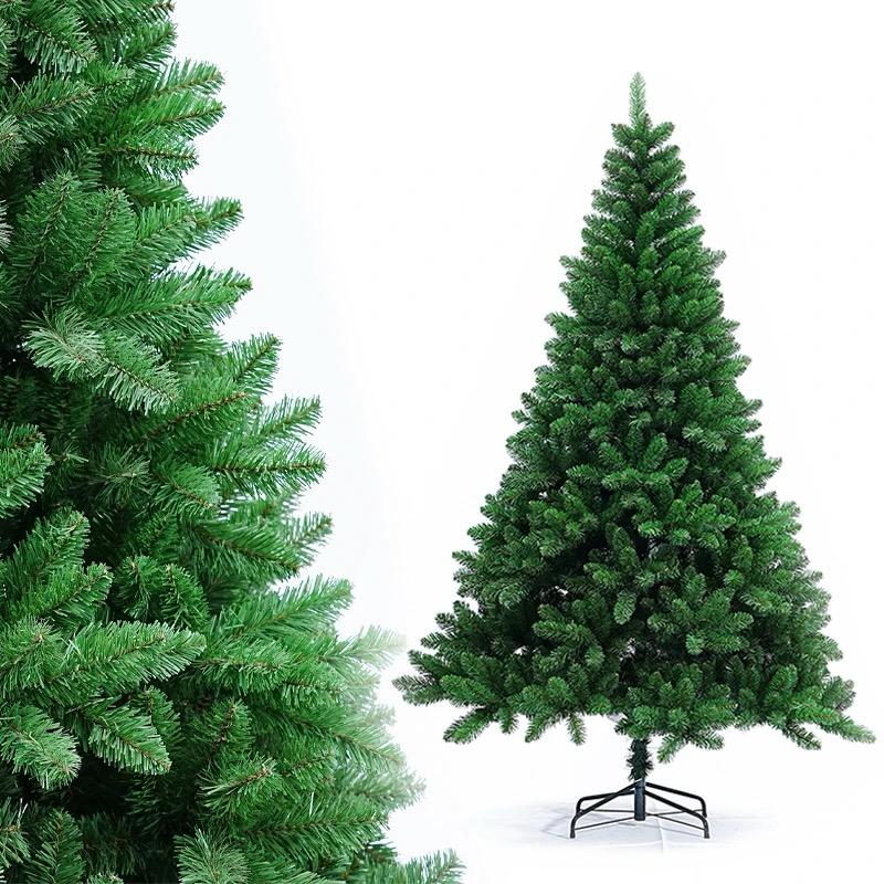 Christmas Tree Green Plain