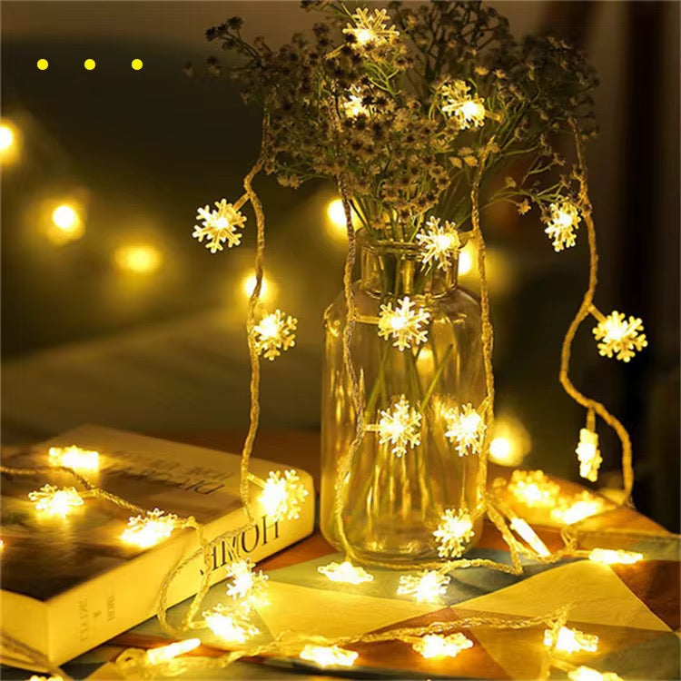 LED Christmas Lights