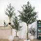 Decorative Artificial Olive Tree