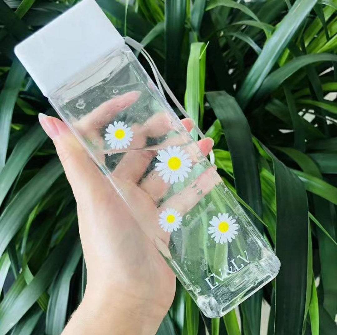 500ml Water Bottle