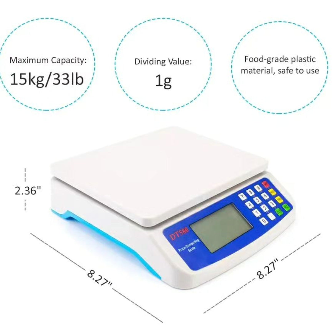 Electronic Weigh Scale