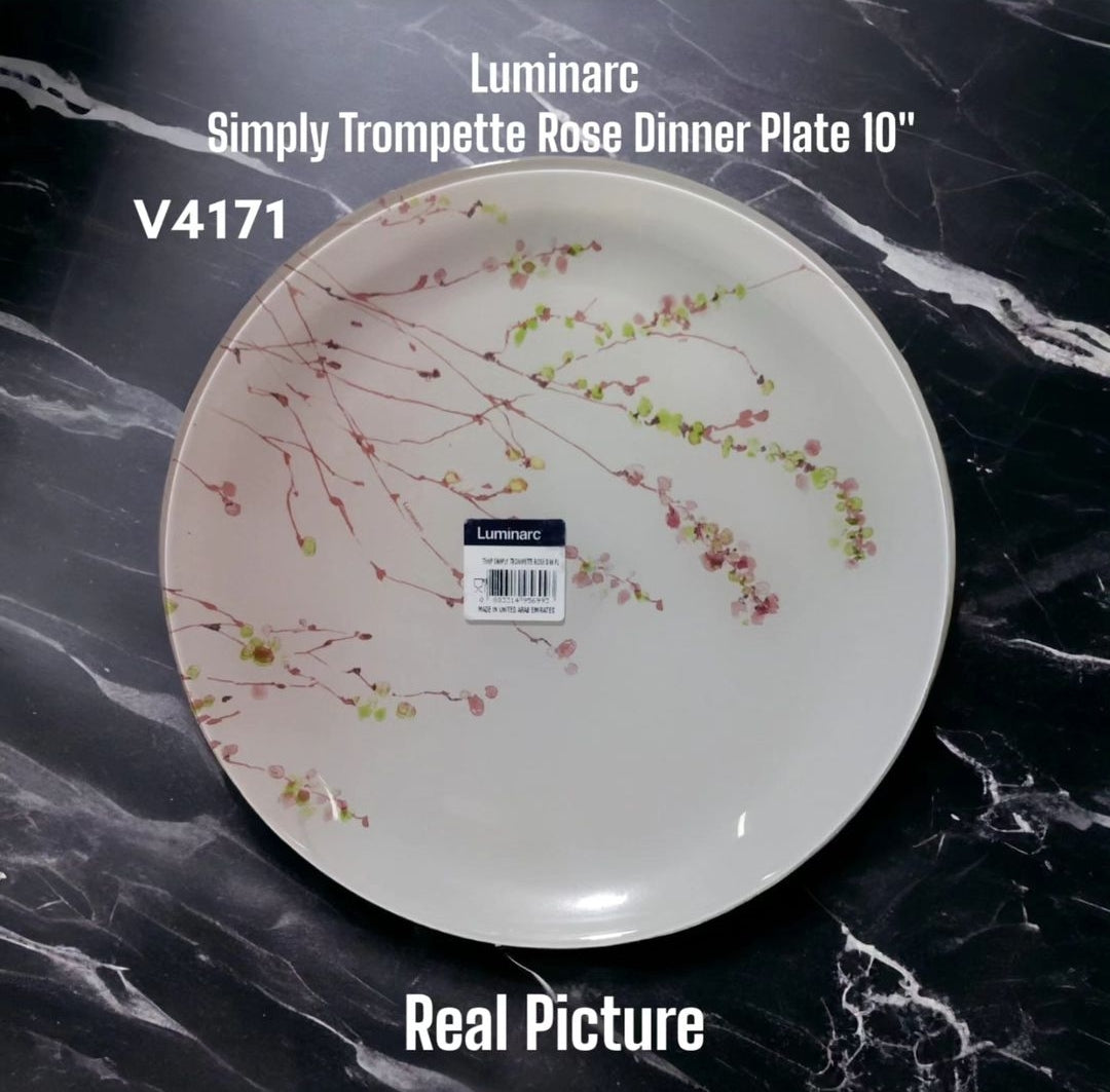 Tempered Glass Dinner Plates 10"
