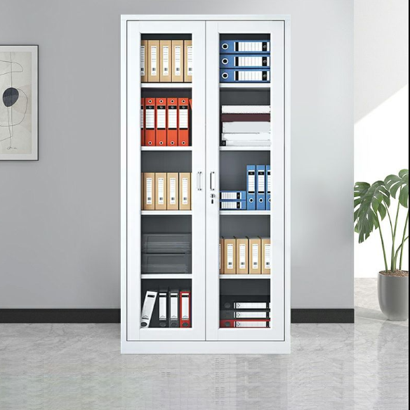 Steel Bookcase Cabinet with Hinged transparent Doors