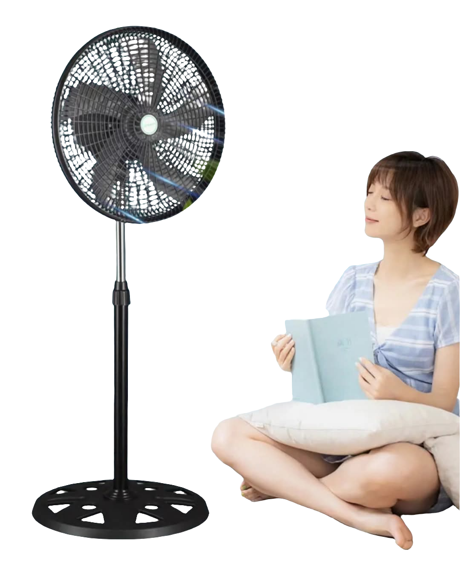 Standing Fans