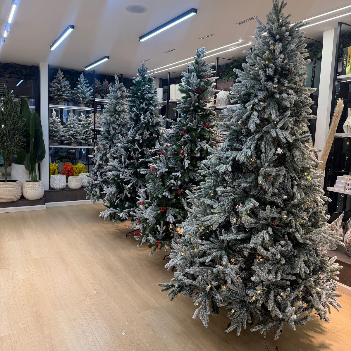 Christmas trees including pre-lit PVC, plain green, snow-flocked and decorative pine Christmas trees in different sizes in Nairobi Kenya