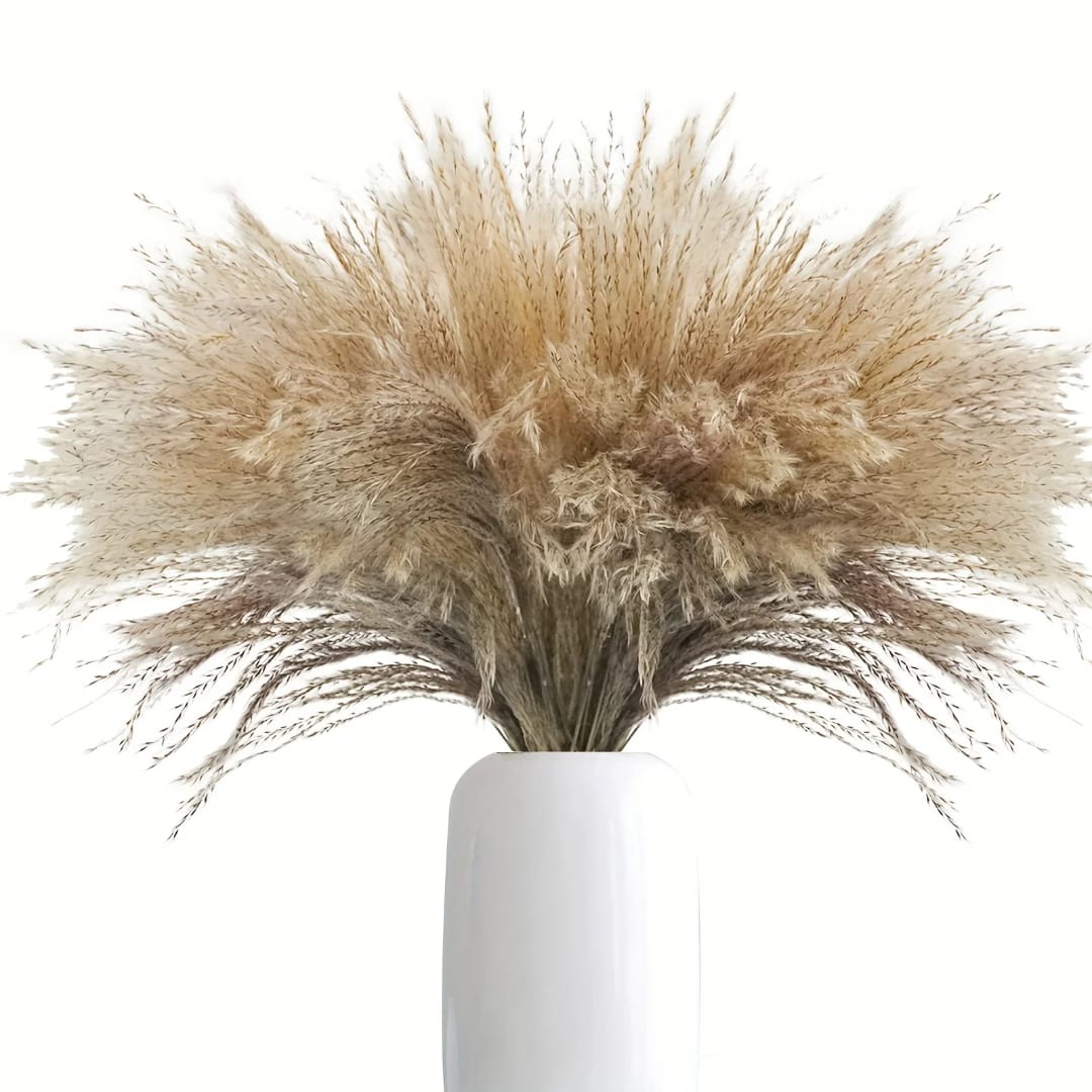 Natural Dried Reed Pampas Grass