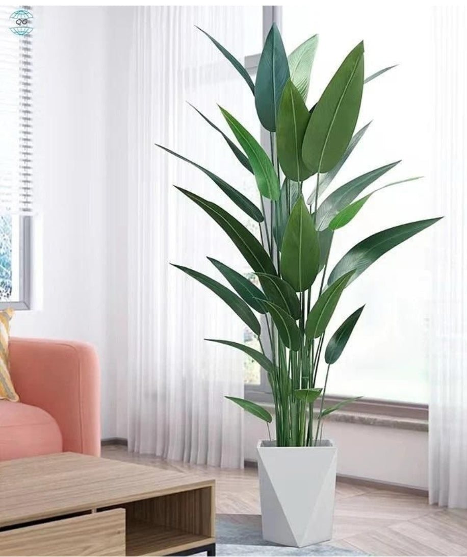 Real Touch Plant