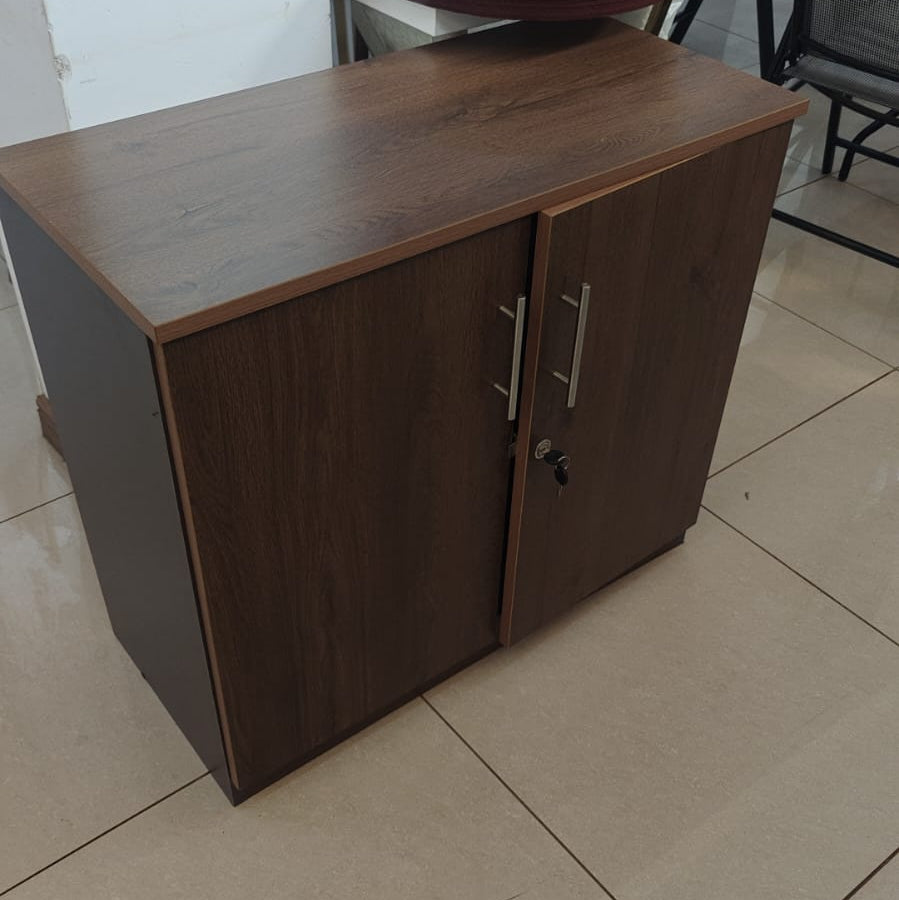 2-Door Low Office Storage Cabinet with Shelf