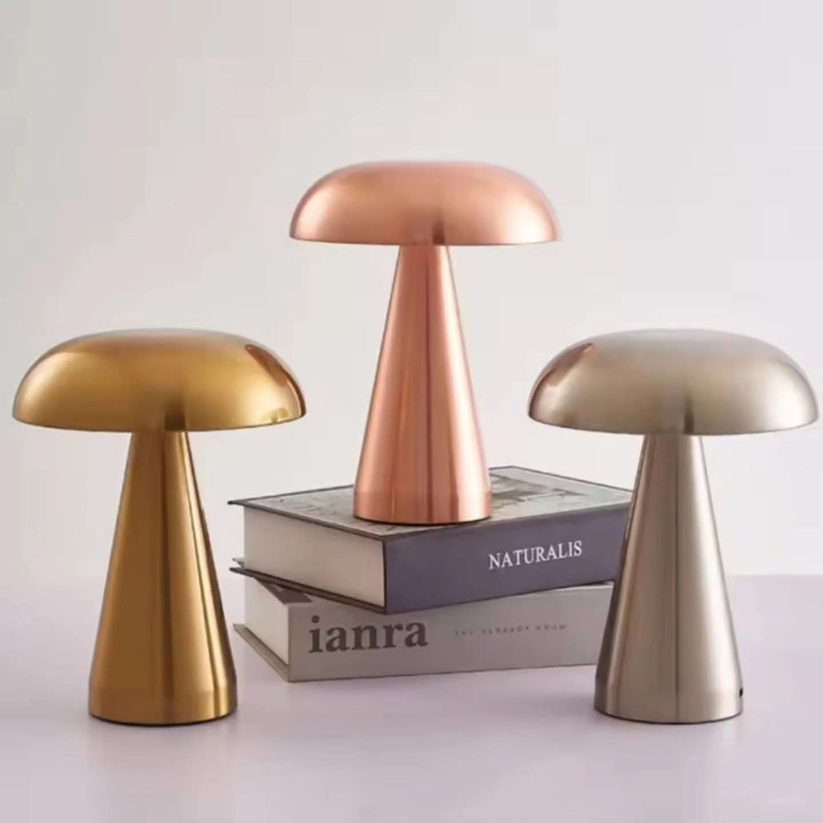 Retro Mushroom LED Night Light Rechargeable
