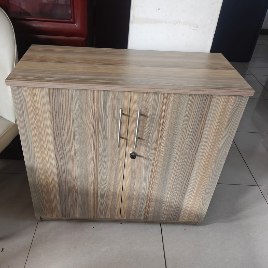 2-Door Low Office Storage Cabinet with Shelf