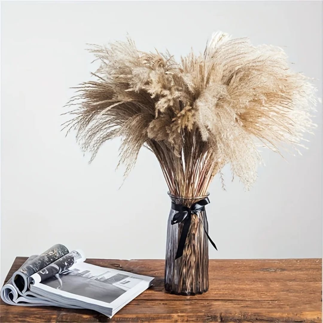 Natural Dried Reed Pampas Grass