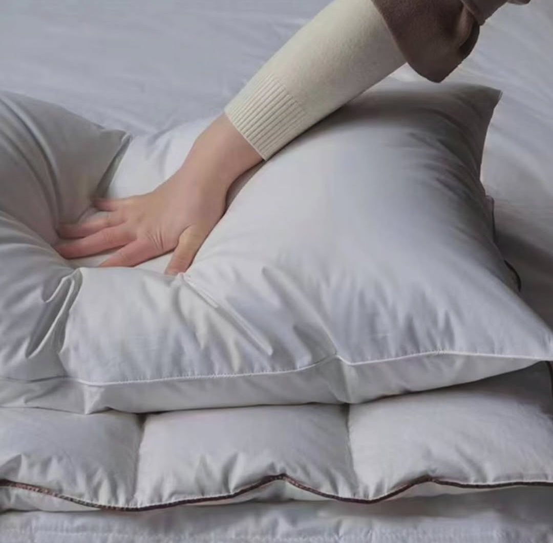 Ultra-Soft White Goose Cotton Pillow Set