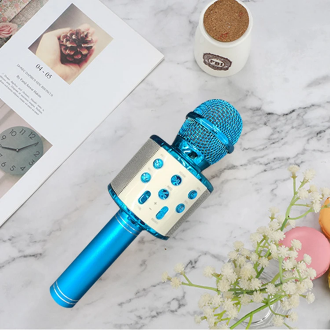 Kid's  Microphone