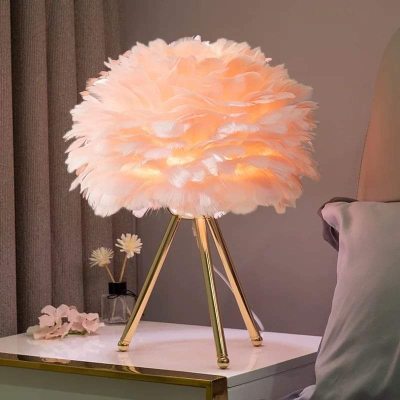 Feather Night light