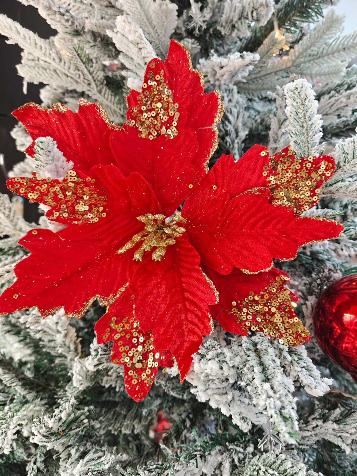 Christmas Flower