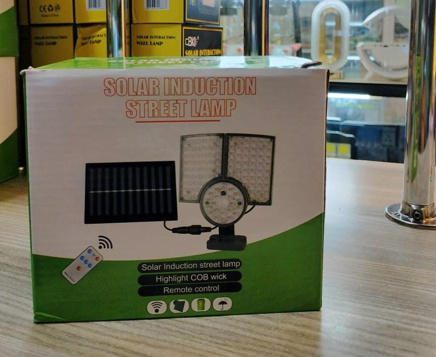 Solar Induction Street Lamp