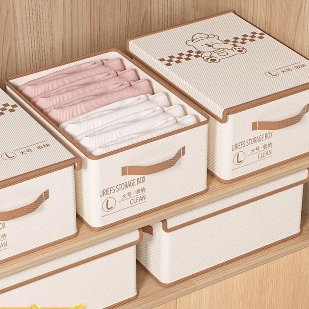 Closet Multipurpose Organizer