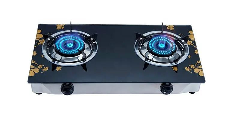 2 Burner gas stove