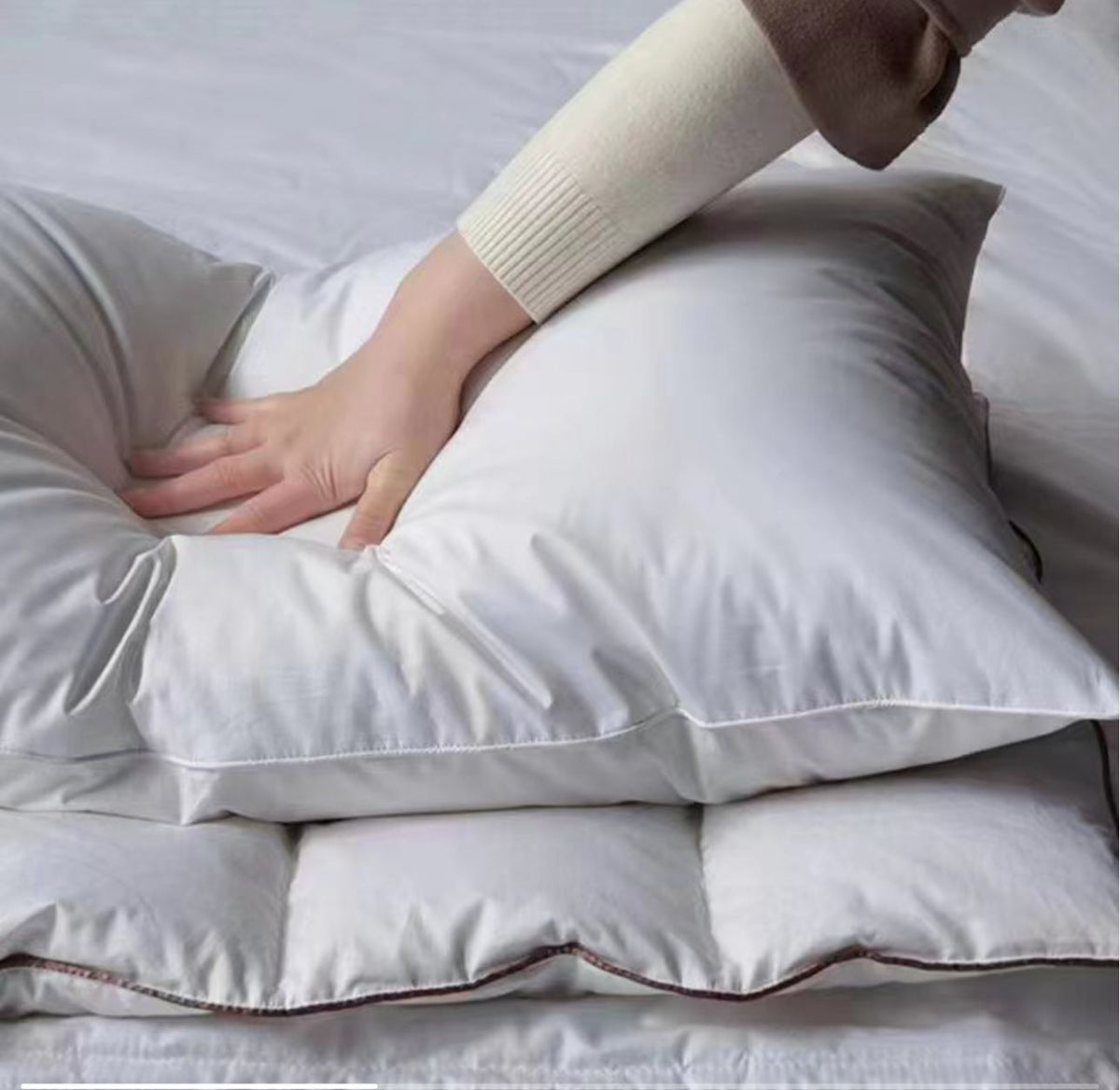 Gemelli Collection Set of 2 Ultra-Soft White Goose Cotton Pillows, Plush, Breathable, Hotel-Quality Sleep