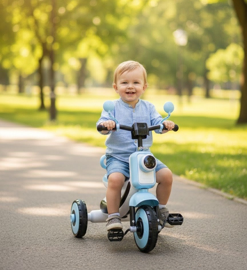 musical tricycle for toddlers with sturdy frame and playful design