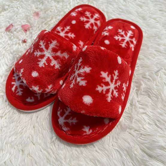 Fuzzy Indoor Slippers