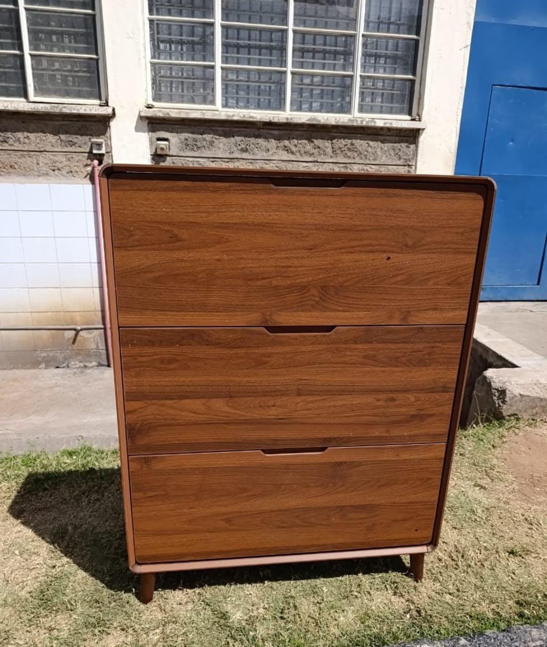 Shoe Storage Cabinet