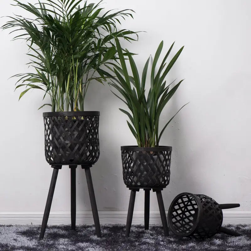 Boho Rattan Plant Stand