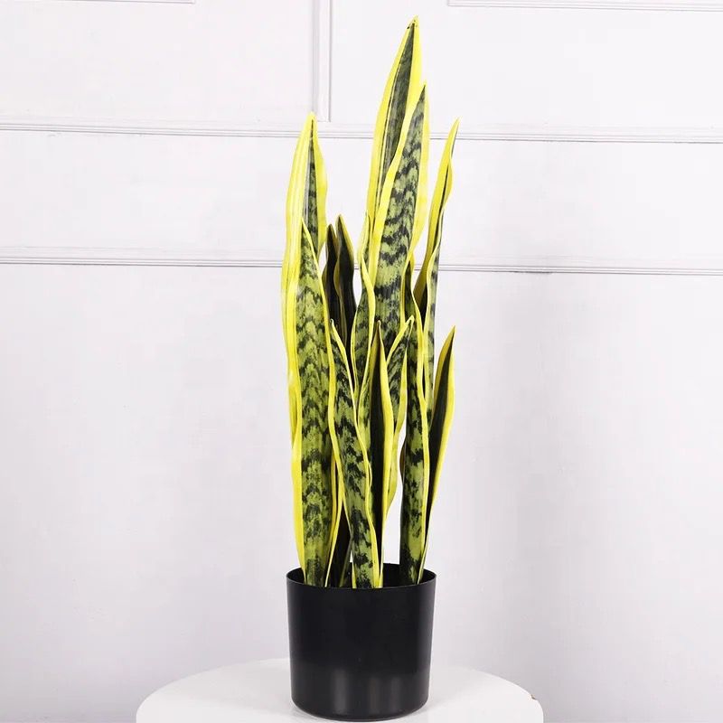 Real Touch Artificial Snake Plant